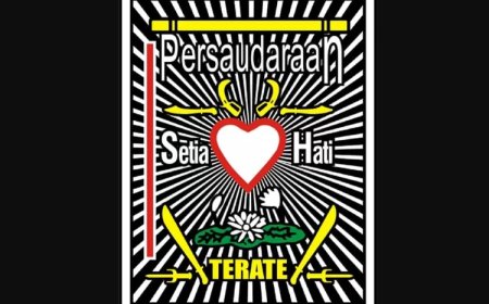 Perkembangan PSHT Pusat Madiun, Semakin Meluas Hingga 368 Cabang