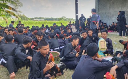 144 Calon Warga SH Terate Kanor Dites Ayam Jago, Ini Makna Filosofisnya!