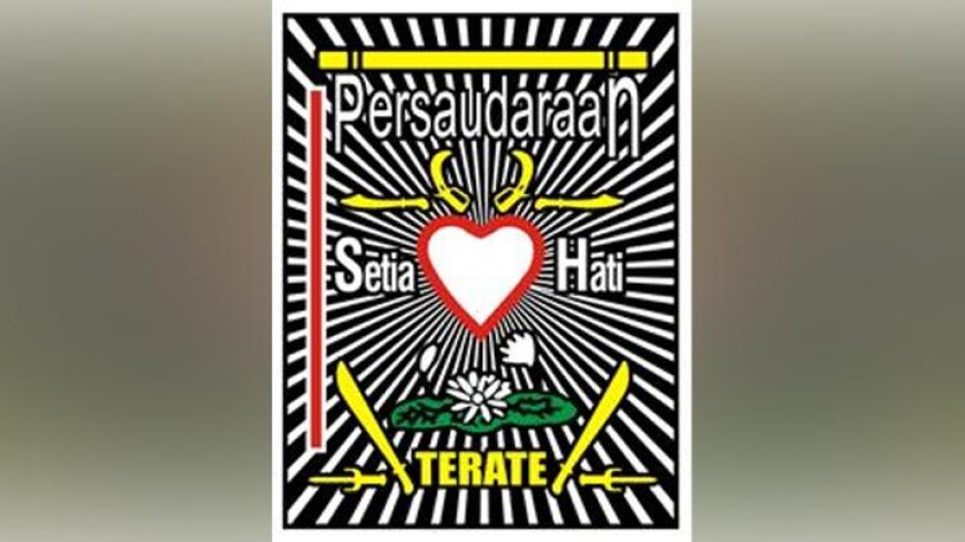 Peran SH Terate, Dalam Kebudayaan dan Olahraga Tradisional