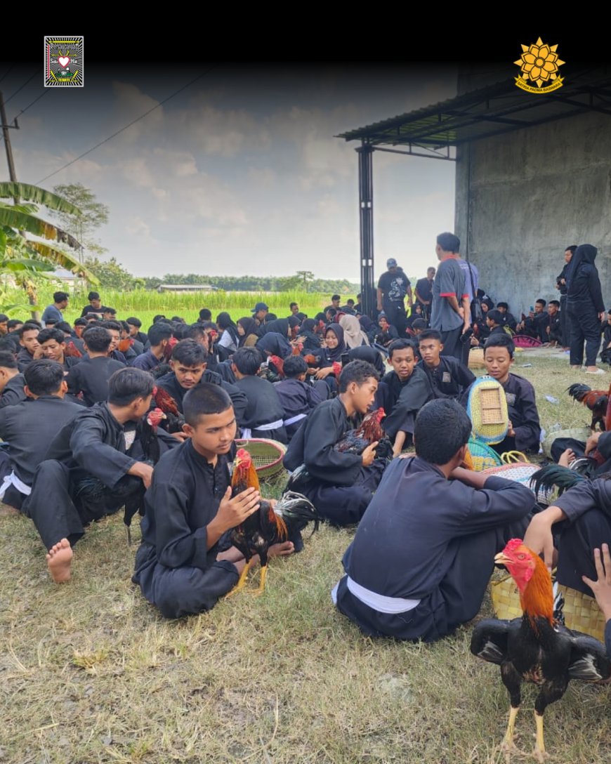 144 Calon Warga SH Terate Kanor Dites Ayam Jago, Ini Makna Filosofisnya!