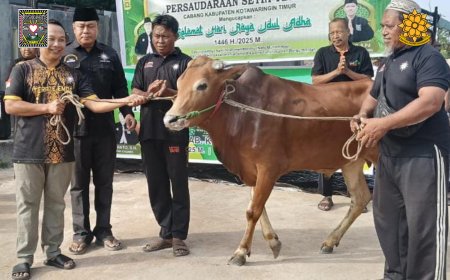 SH Terate Cabang Kotim Sembelih 7 Sapi Kurban dan Bagikan 700 Paket Daging kepada Warga dan Ponpes