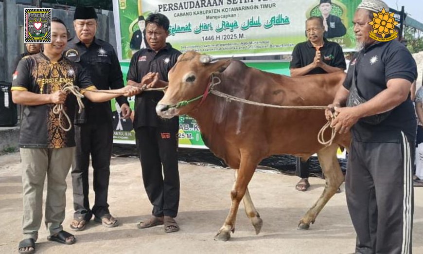 SH Terate Cabang Kotim Sembelih 7 Sapi Kurban dan Bagikan 700 Paket Daging kepada Warga dan Ponpes