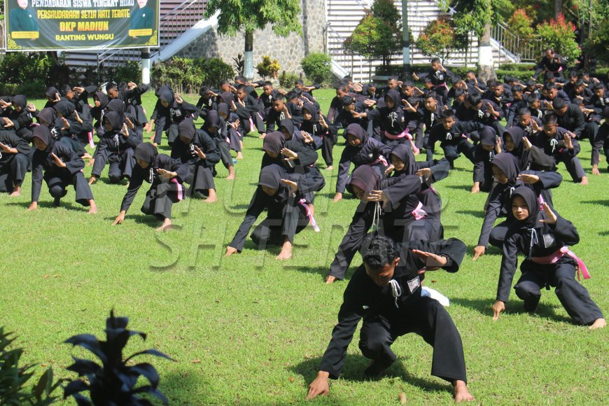Tumbuhkan Semangat Pantang Menyerah, PSHT Ranting Wungu Gelar Pendadaran Sabuk Hijau di Monumen Kresek