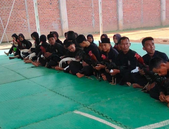 Tes Ayam Jago Jadi Tahap Akhir Pengujian Calon Warga Baru SH Terate Cabang Rejang Lebong dan Kota Bengkulu