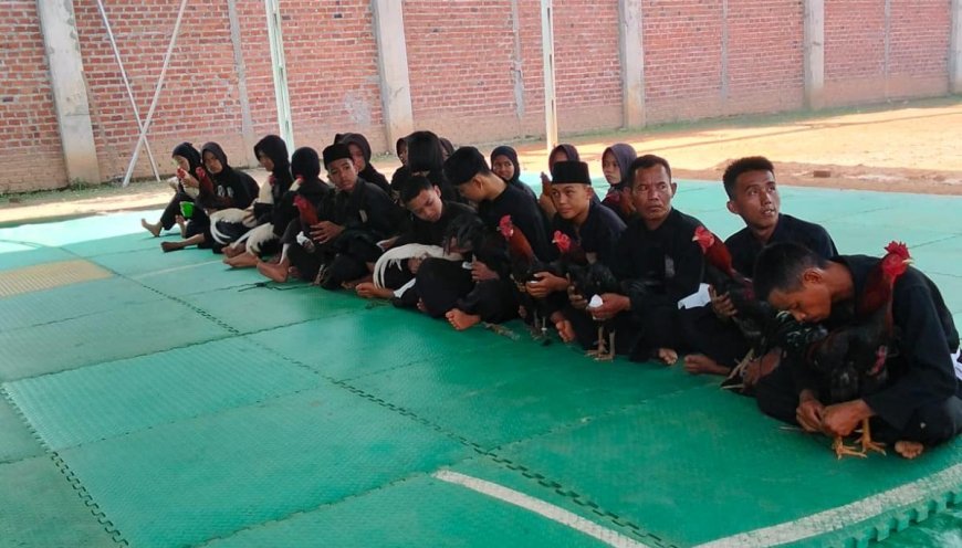 Tes Ayam Jago Jadi Tahap Akhir Pengujian Calon Warga Baru SH Terate Cabang Rejang Lebong dan Kota Bengkulu